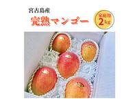 【予約販売】宮古島産完熟マンゴー2kg(ご家庭用)