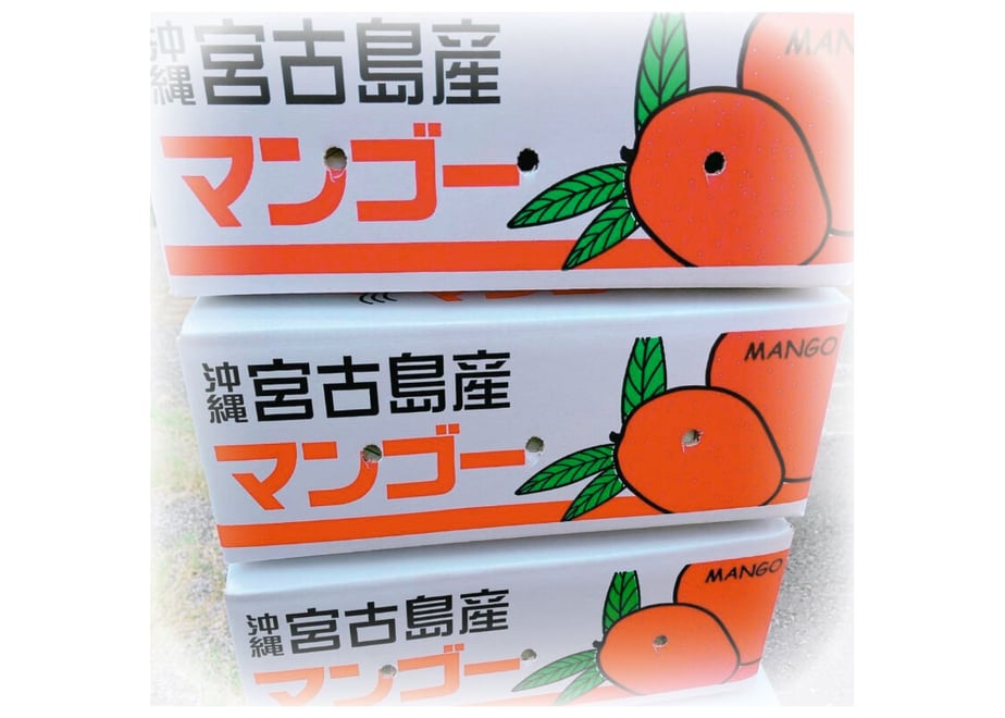62552e7ea102750b9fe791e7