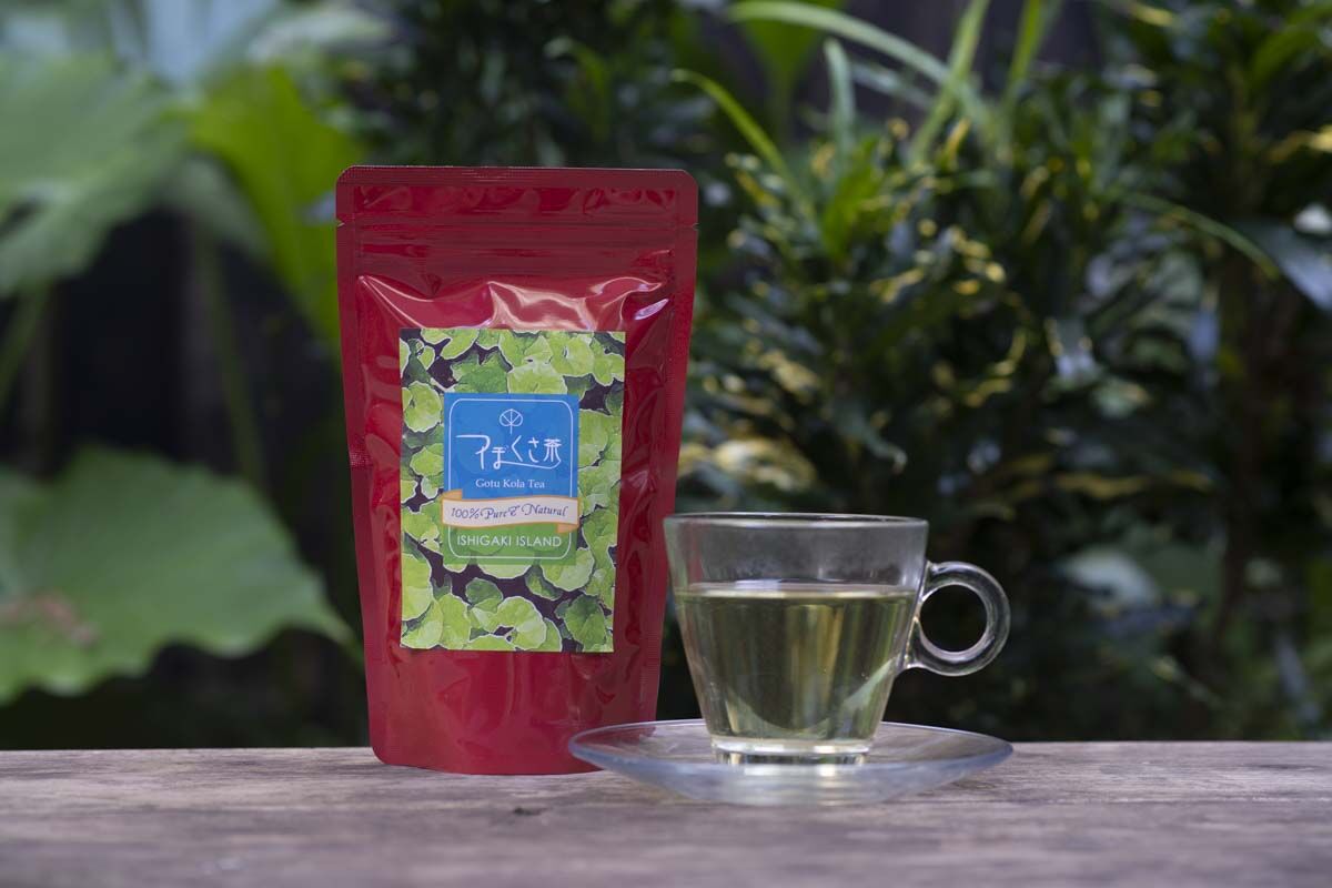 茶道、花つぼ uji-sencha – 辻右衛門