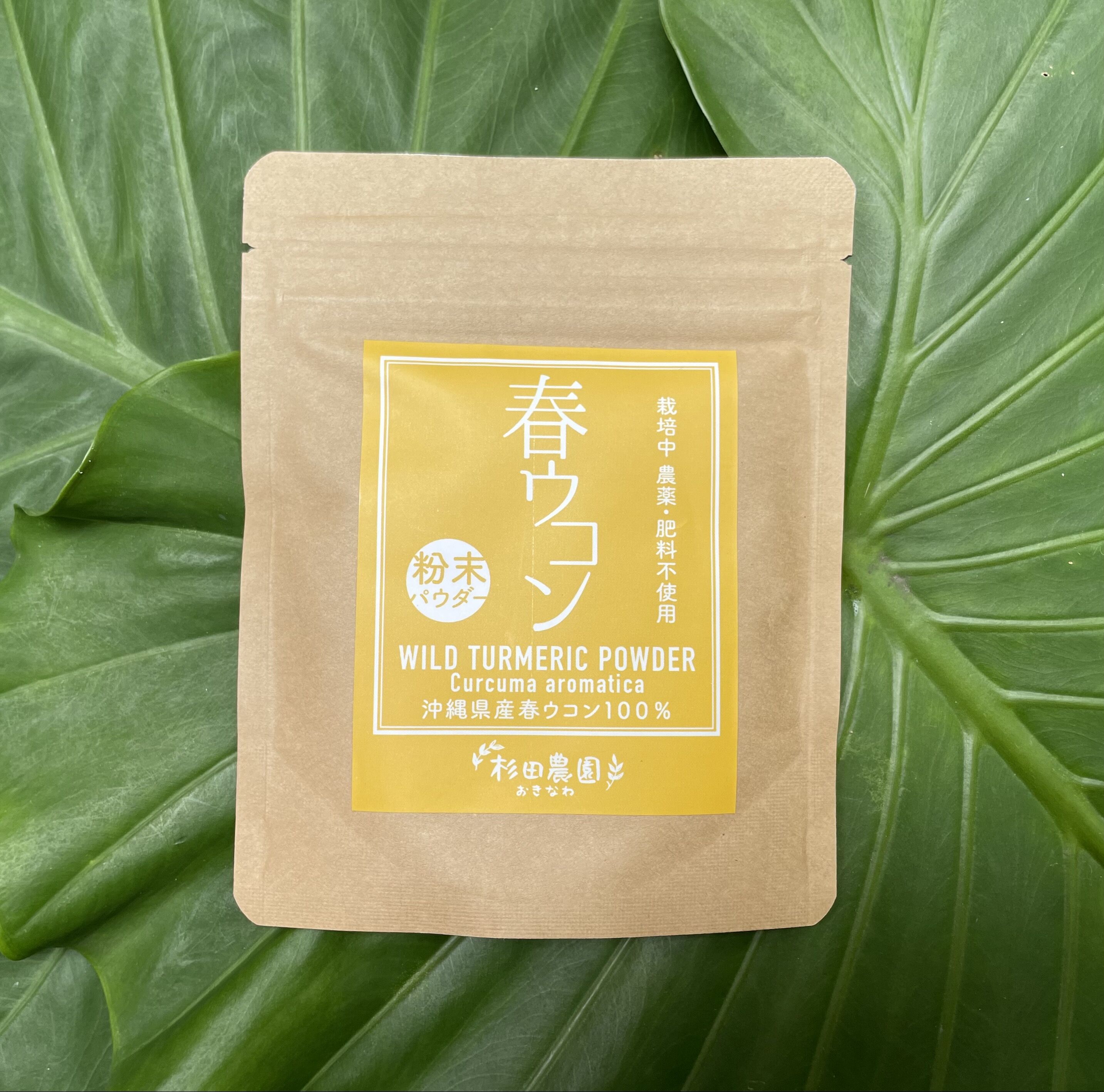 自然栽培 春ウコン・パウダー 45g | 浮島ガーデン webshop