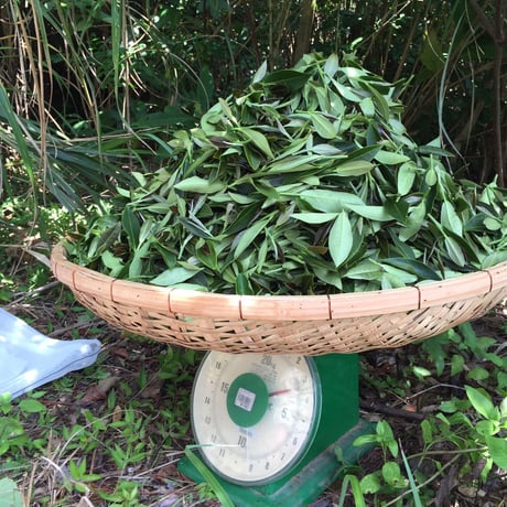 やんばる紅茶べにふうき2024 【手摘み】 15g