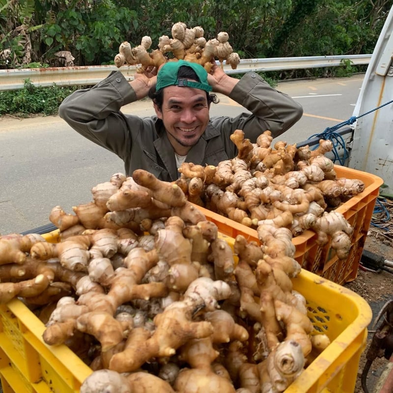 浮島ガーデン オリジナル 麻炭コーラの素 | 浮島ガーデン webshop