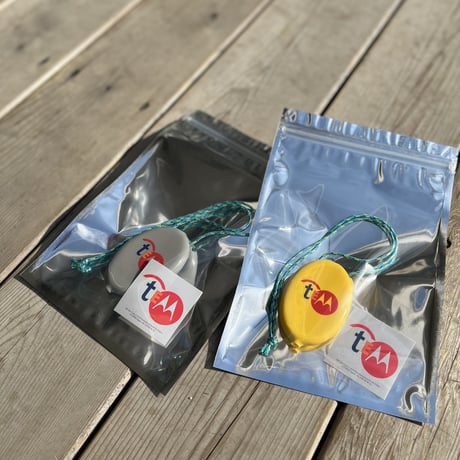 Tem Coin Case