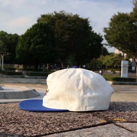Tem "1981 HIKARIGAOKA PARK" CAP