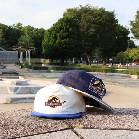 Tem "1981 HIKARIGAOKA PARK" CAP