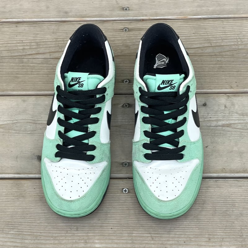 NIKE DUNK LOW PRO IW | Tem