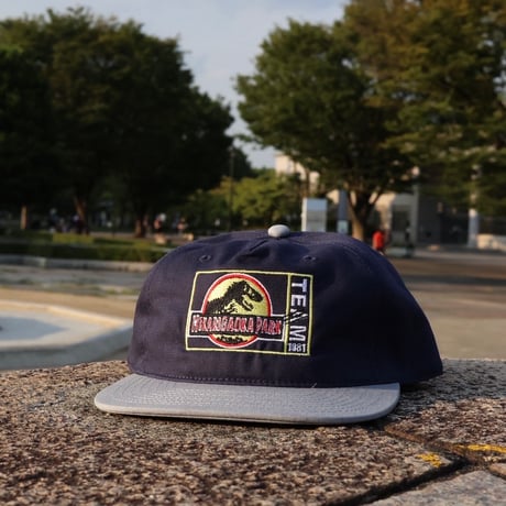 Tem "1981 HIKARIGAOKA PARK" CAP