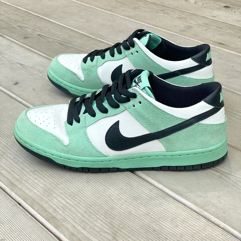 スケートボード NIKE DUNK LOW PRO IW QS BMW NIKE DUNK LOW PRO IW | Tem