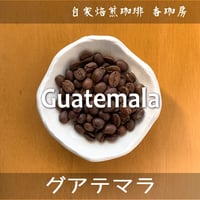 グアテマラ SHB ラ・エスペランサ農園