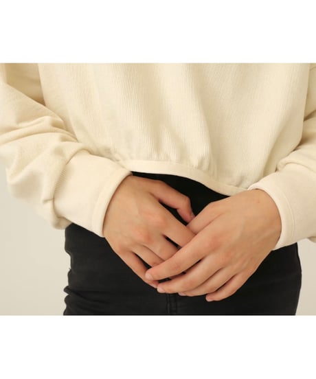 velours piping glitter embroidery sweat ivory