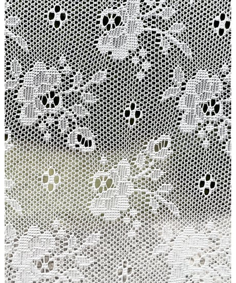 half lace mermaid long skirt