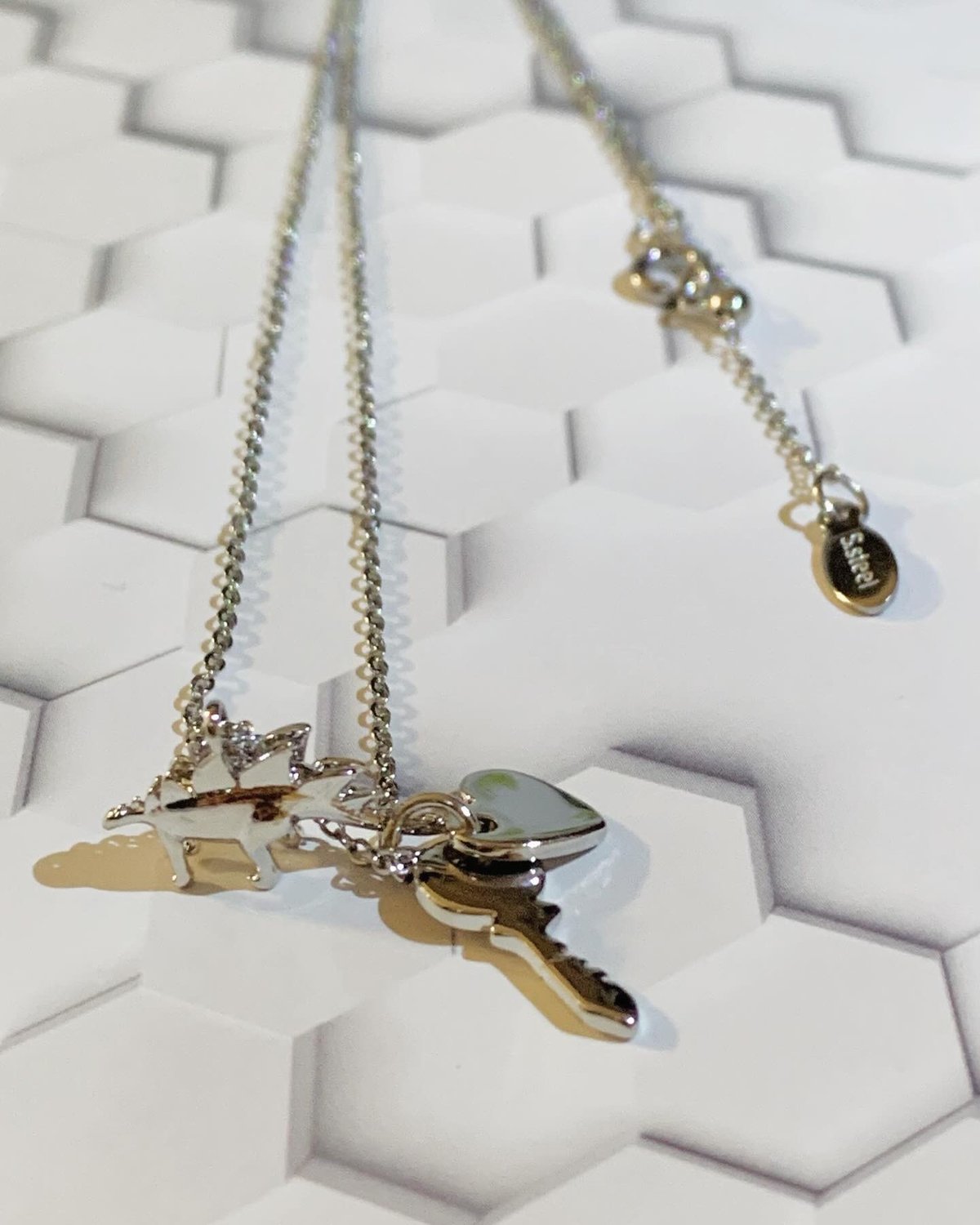 【エデン☆】 新品未使用coach恐竜と花のチャームネックレス エデン☆】 新品未使用coach恐竜と花のチャームネックレス エデン