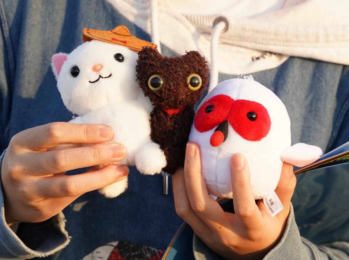 ぬいぐるみキーホルダー おけさ猫 | 人魚の宝箱【SEA GLASS CANDY】