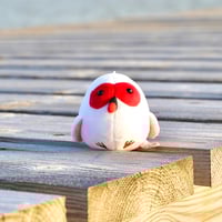 人魚の宝箱【SEA GLASS CANDY】