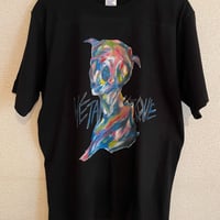 Paint art  T-shirts 6.2oz