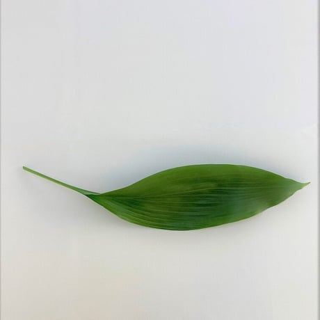 はらん