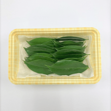 椿