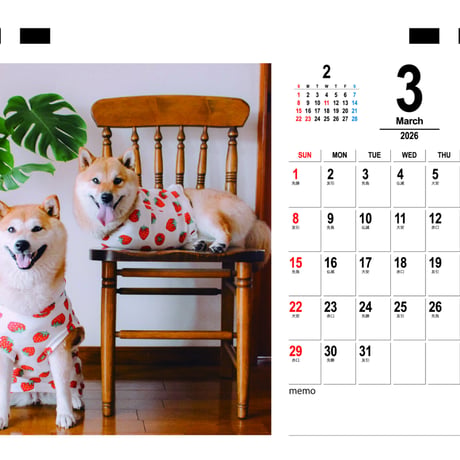 【予約販売】 柴犬の春子＆福 2026年 卓上カレンダー TC26154