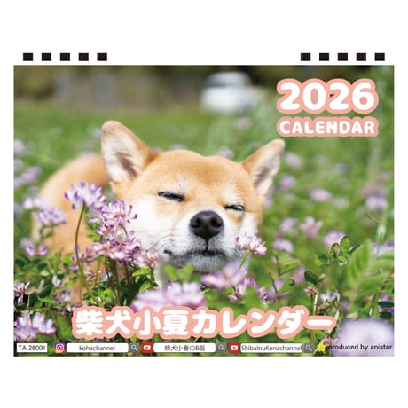 【予約販売】 柴犬 小夏 2026年 卓上 カレンダー TA26318
