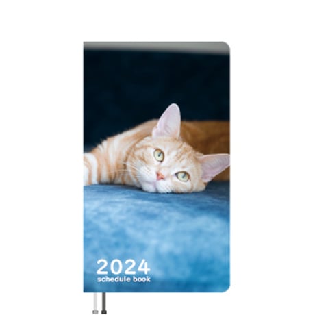【予約販売】 猫のぷうくん 2024年 ポケットサイズ スケジュール帳 PO24132