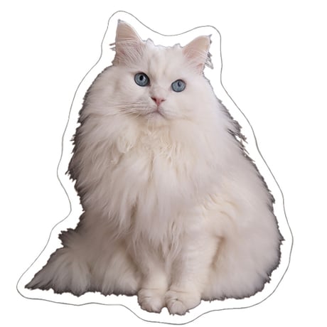 【予約販売】 あつまれちいかまの森 猫 シール 5枚セット SE020NN