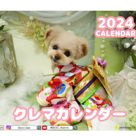 【予約販売】 トイプードル犬のクレマ 2024年 卓上 カレンダー TC24124