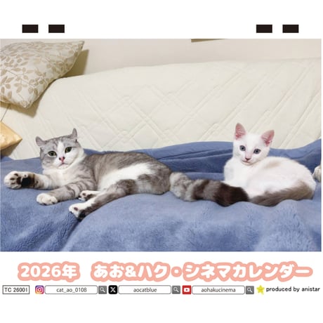 【予約販売】 あお&ハク・シネマ AO&HAKU 猫 2026年 卓上全面 カレンダー TC26061