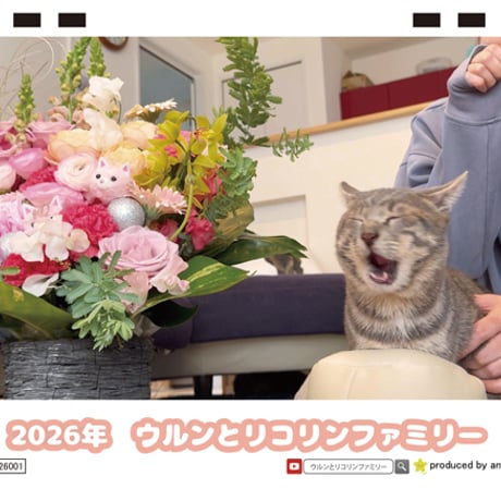 【予約販売】 猫のウルン＆リコリン 2026年 卓上 カレンダー TC26298