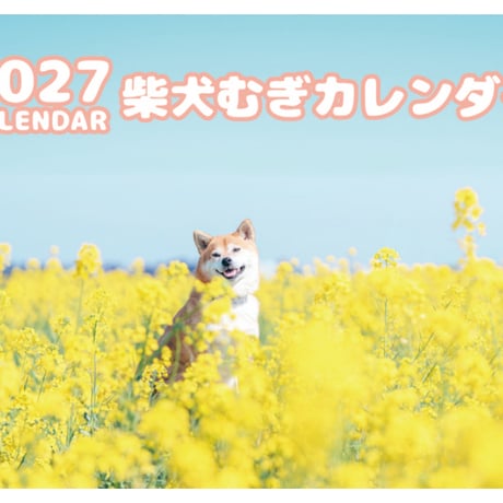 【予約販売】 柴犬むぎ 2027年 壁掛け カレンダー KK27012