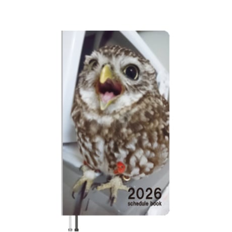 【予約販売】 ふくろうのトゥルちゃん 2026年 ポケットスケジュール帳 PO26110