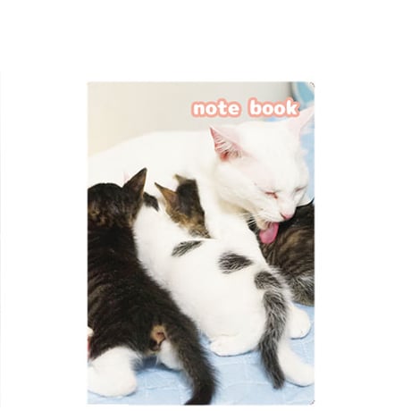 【予約販売】 ねこかます 猫 2026年 A5ノート No002NN