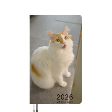 【予約販売】 吾輩は猫ニートである。 びび 2026年 ポケットスケジュール帳 PO26355