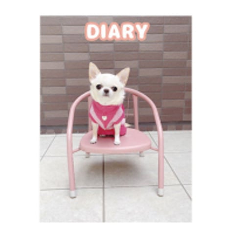 【予約販売】 チワワのクリム 2025年 犬 日記帳 DR25334