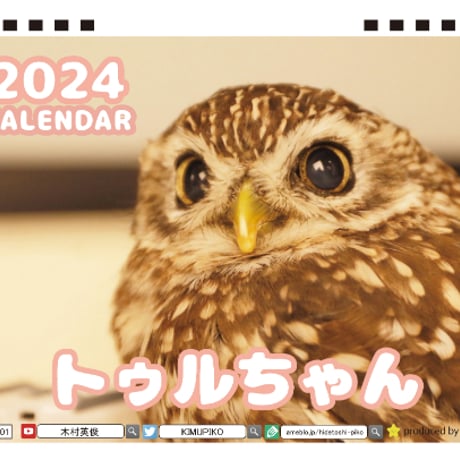 【予約販売】 鳥のフクロウ トゥルちゃん 2024年 卓上 カレンダー TC24142