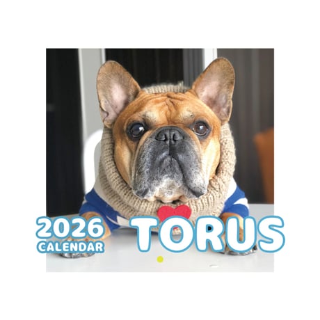 【予約販売】 フレンチブルドッグ torus トーラス 犬 2026年 壁掛け カレンダー KK26033