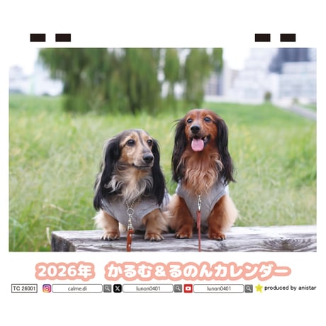 【予約販売】 ミニチュアダックスフンド かるむ＆るのん 犬 2026年 卓上 カレンダー TC26081
