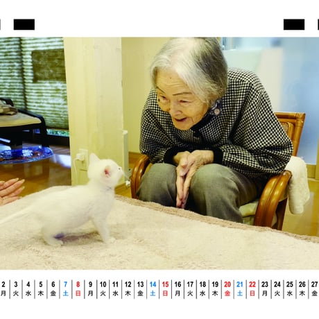 【予約販売】 猫と人間の家族 2026年 卓上カレンダー TC26238