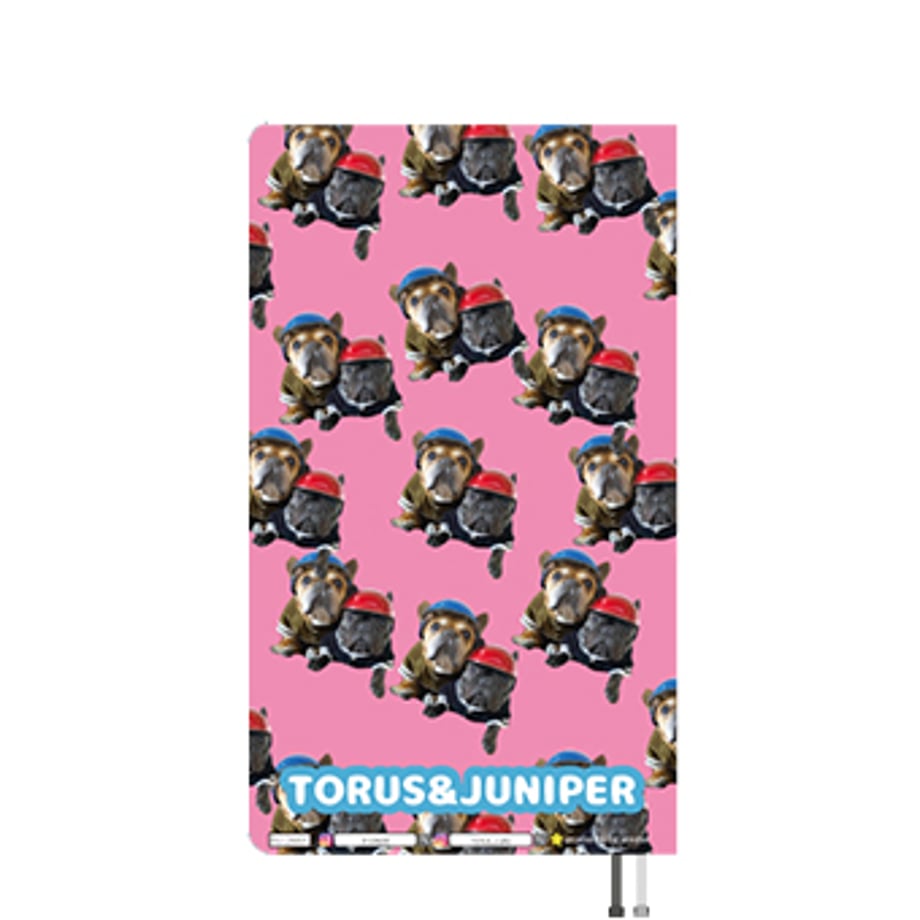 68c38a61613f7d0063116252
