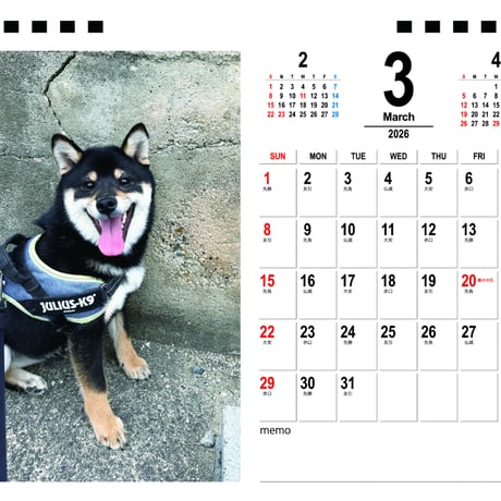 【予約販売】 こた兄さん 柴犬 2026年 卓上カレンダー TA26218