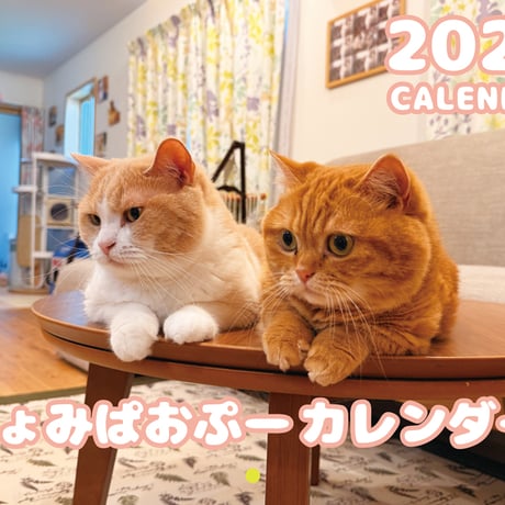 【予約販売】 猫のちょみぱおぷー 2026年 壁掛けカレンダー KA26265