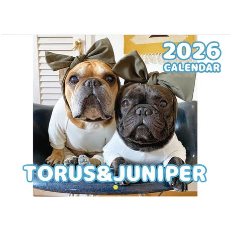【予約販売】 フレンチブルドッグ torus トーラス 犬 2026年 壁掛け カレンダー KK26034