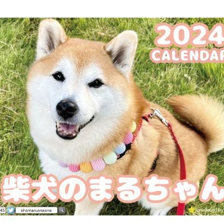 【予約販売】 柴犬のまるちゃん 2024年 卓上 カレンダー TC24245