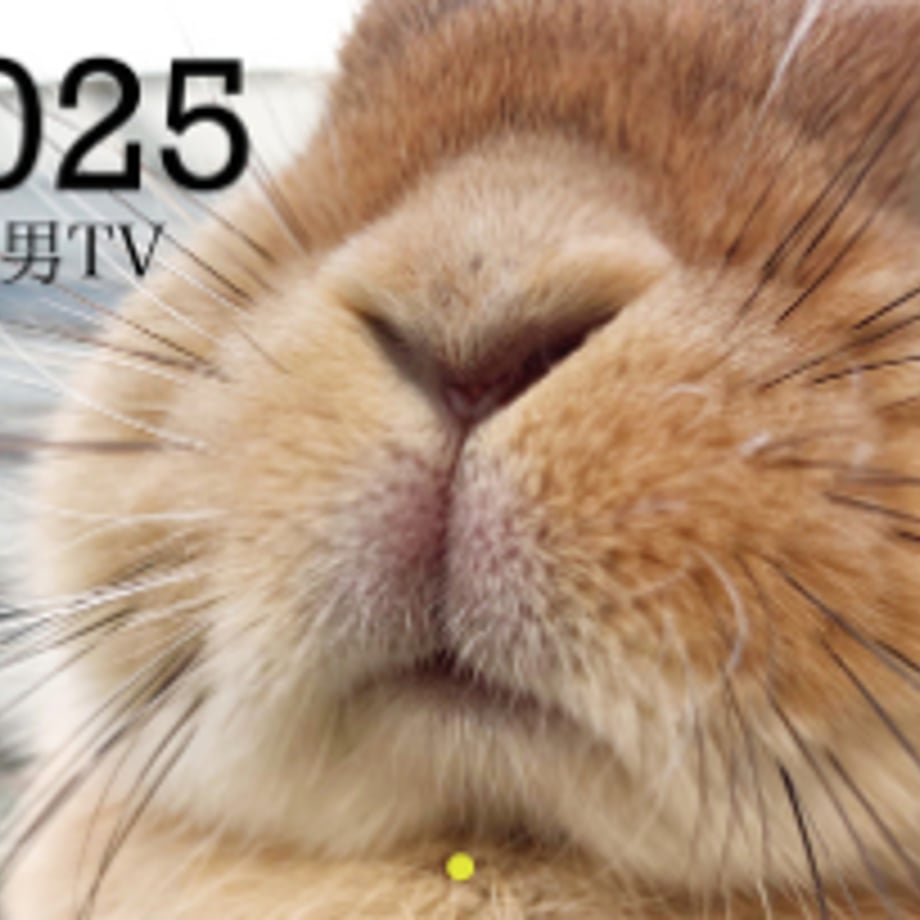 66db061acc85d000017b8b3b