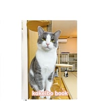 【予約販売】 猫のにゃんたま 2025年 家計簿帳 CA25023