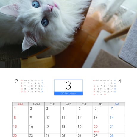 【予約販売】 あつまれちいかまの森 猫 2026年 壁掛け カレンダー KK26292
