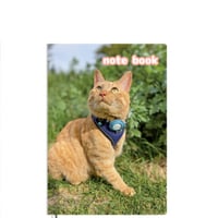 【予約販売】 ゴールデンレトリバー犬＆保護猫 ぺろりんず！ 2025年 A5ノート帳 No25010