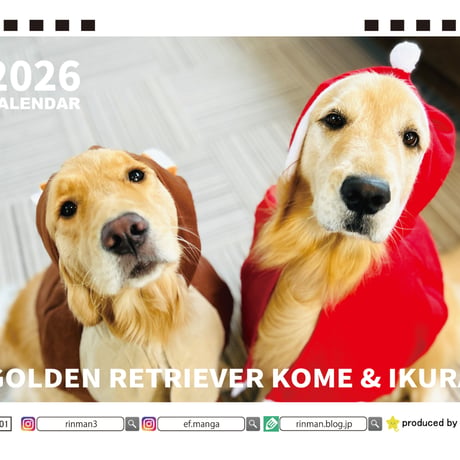 【予約販売】 コメ&イクラ ゴールデンレトリバー 犬 2026年 卓上半面 カレンダー TA26287