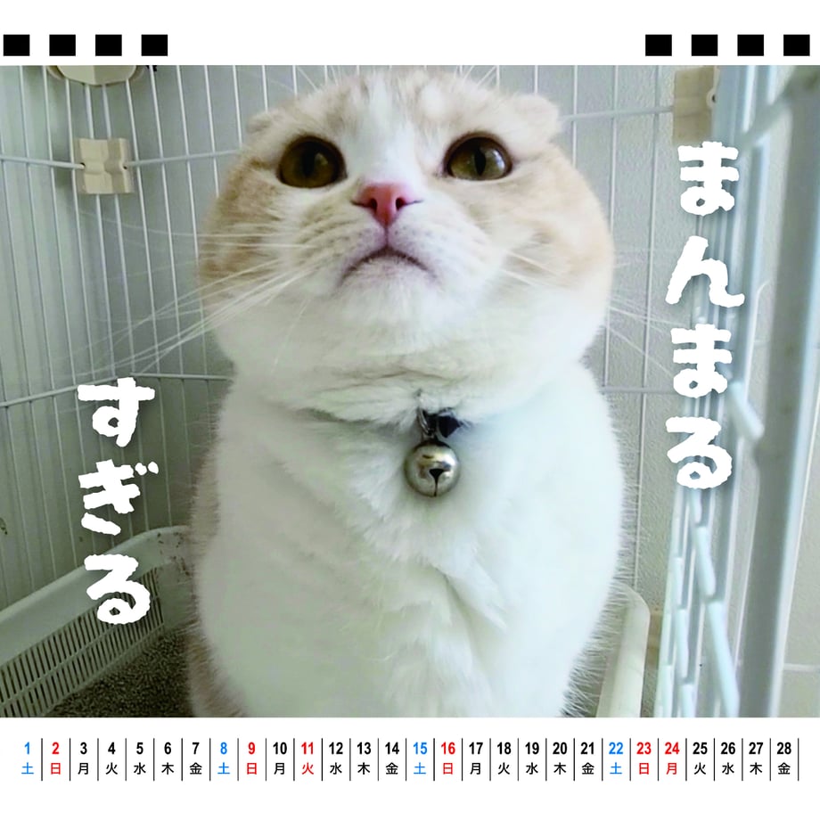 66f6792dc7a87200015525ad