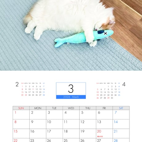 【予約販売】 レモン 猫 猫のレモンと犬のポテチちゃんねる 2026年 壁掛け カレンダー KA26306