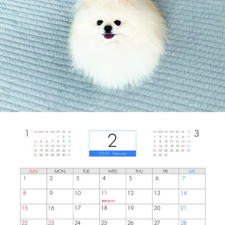 【予約販売】 ポテチ 犬 猫のレモンと犬のポテチちゃんねる 2026年 壁掛け カレンダー KA26304